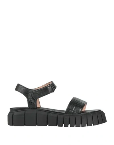 Pollini Woman Sandals Black Size 6 Leather
