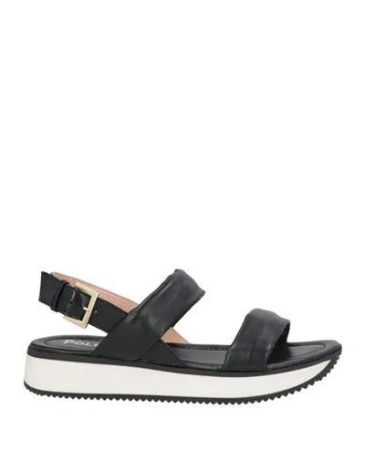 Pollini Woman Sandals Black Size 6 Leather