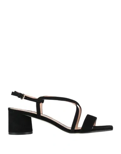 Pollini Woman Sandals Black Size 6 Leather