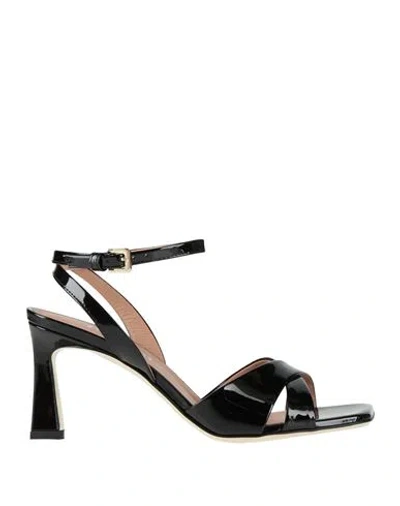 Pollini Woman Sandals Black Size 6.5 Leather