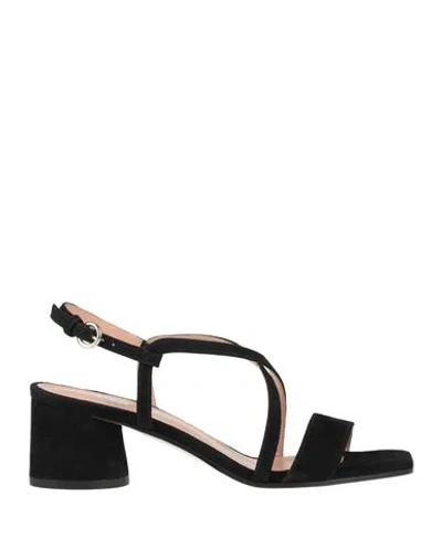 Pollini Woman Sandals Black Size 7 Leather