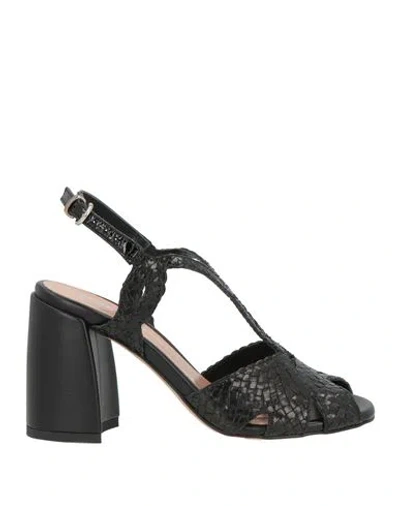 Pollini Woman Sandals Black Size 7 Leather