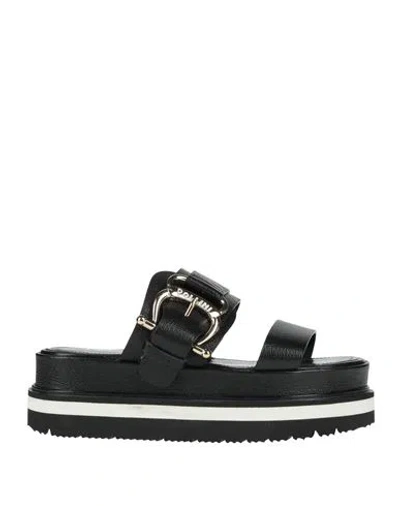 Pollini Woman Sandals Black Size 8 Goat Skin