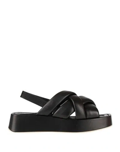 Pollini Woman Sandals Black Size 11 Leather