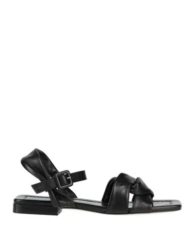 Pollini Woman Sandals Black Size 8 Leather