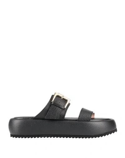 Pollini Woman Sandals Black Size 8 Leather