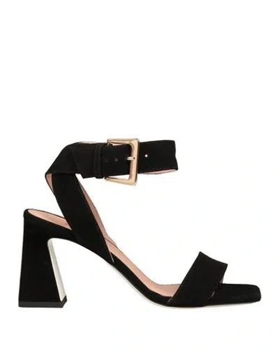 Pollini Woman Sandals Black Size 8 Leather