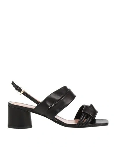 Pollini Woman Sandals Black Size 8 Leather