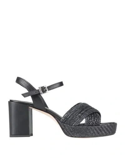 Pollini Woman Sandals Black Size 9 Leather, Natural Raffia