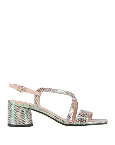 Pollini Woman Sandals Blush Size 6 Leather In Multi