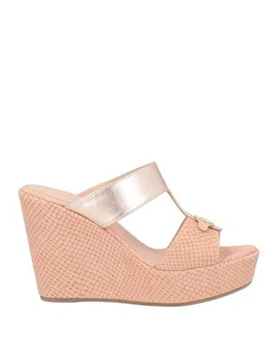 Pollini Woman Sandals Blush Size 8 Calfskin, Polyolefin In Pink