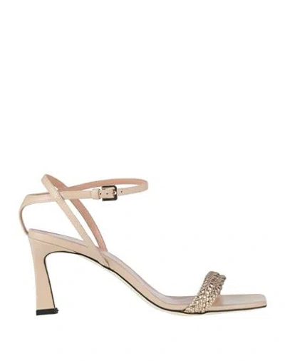 Pollini Woman Sandals Blush Size 6 Calfskin, Polyurethane In Pink
