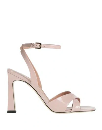 Pollini Woman Sandals Blush Size 8 Leather In Pink