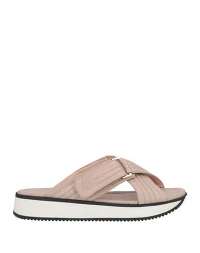 Pollini Woman Sandals Blush Size 8 Leather In Pink