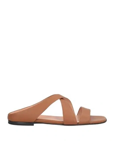 Pollini Woman Sandals Brown Size 6 Calfskin In Multi