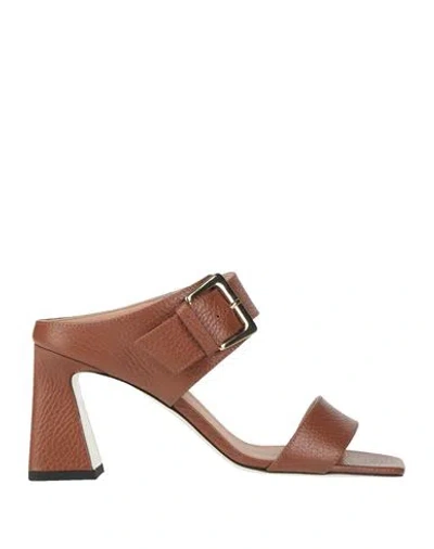 Pollini Woman Sandals Brown Size 8 Calfskin