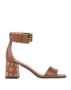 Pollini Woman Sandals Brown Size 8 Calfskin