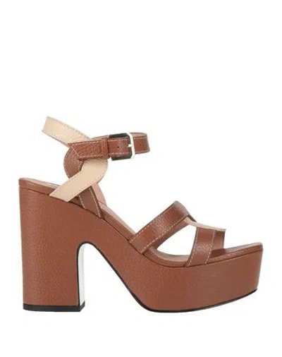 Pollini Woman Sandals Brown Size 8 Leather