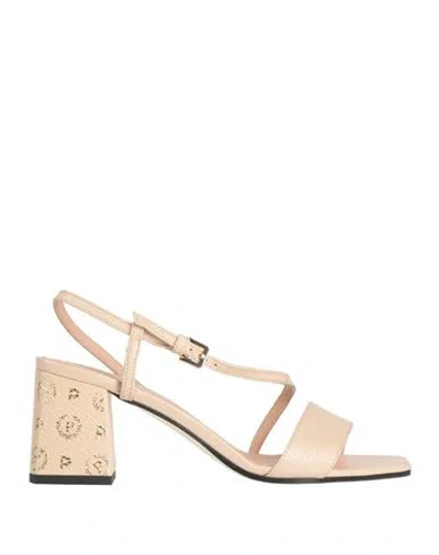 Pollini Woman Sandals Ivory Size 8 Calfskin