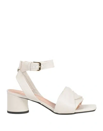 Pollini Woman Sandals Ivory Size 8 Leather In White