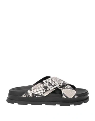 Pollini Woman Sandals Light Grey Size 6 Leather In Animal Print