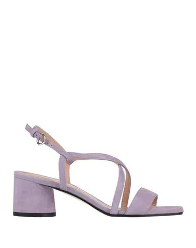 Pollini Woman Sandals Lilac Size 6.5 Leather In Purple