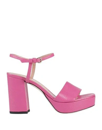 Pollini Woman Sandals Magenta Size 7 Leather