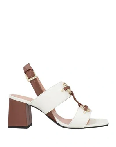 Pollini Woman Sandals Off White Size 11 Calfskin