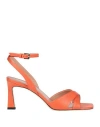 Pollini Woman Sandals Orange Size 8 Leather