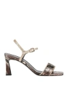 Pollini Woman Sandals Platinum Size 7 Leather In Brown