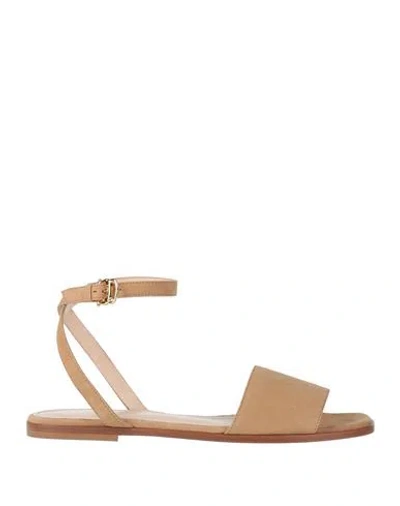 Pollini Woman Sandals Sand Size 8 Leather In Brown