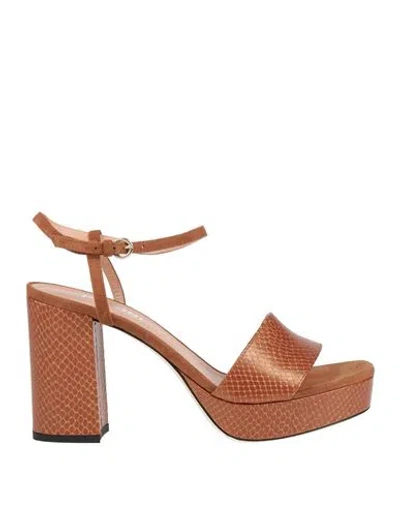 Pollini Woman Sandals Tan Size 10 Leather In Brown