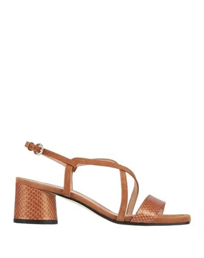 Pollini Woman Sandals Tan Size 6 Leather In Brown