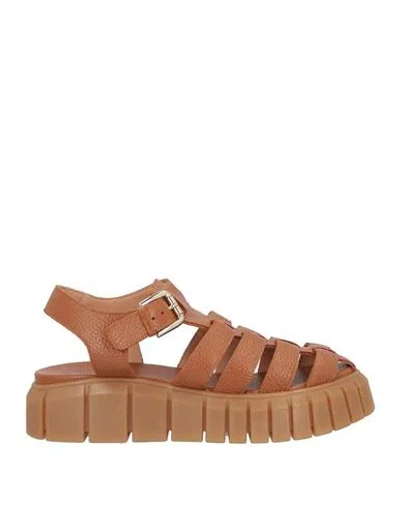 Pollini Woman Sandals Tan Size 8 Leather In Brown
