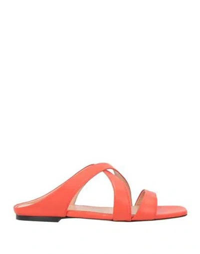 Pollini Woman Sandals Tomato Red Size 11 Leather