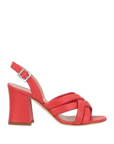 Pollini Woman Sandals Tomato Red Size 9 Leather