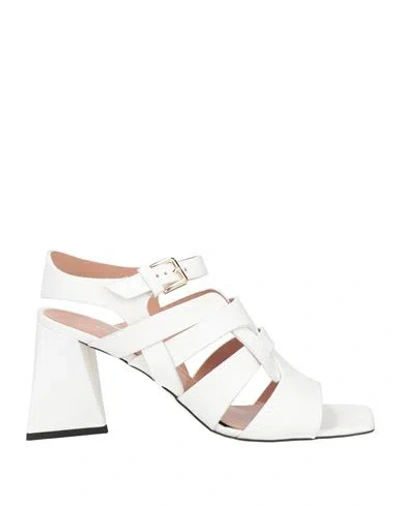 Pollini Woman Sandals White Size 5 Cowhide