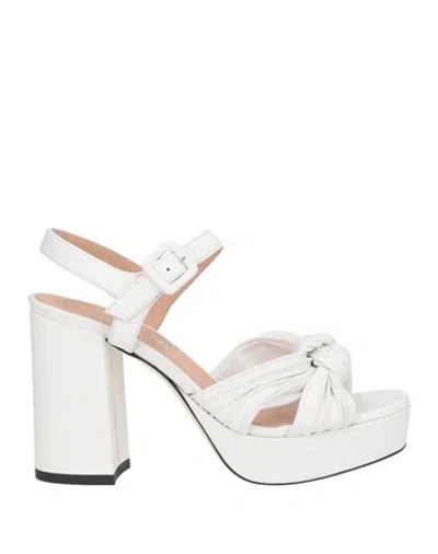 Pollini Woman Sandals White Size 5 Leather