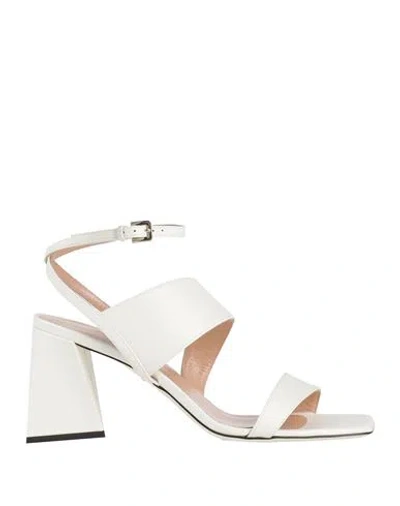 Pollini Woman Sandals White Size 6 Calfskin