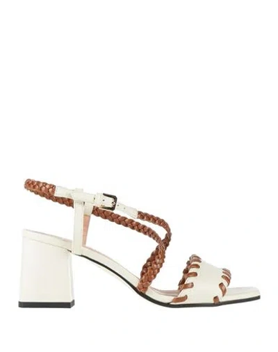Pollini Woman Sandals White Size 6.5 Leather In Multi