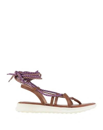 Pollini Woman Thong Sandal Brown Size 7 Leather In Multi