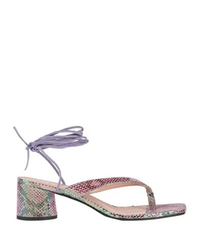 Pollini Woman Thong Sandal Lilac Size 8 Leather In Multi
