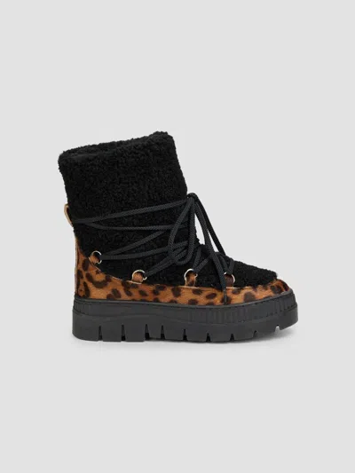 Pollini Women's Lace-up Shearling Ankle Boots In Black
