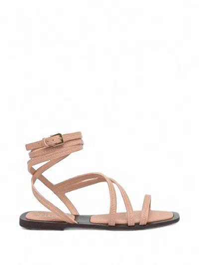 Pollini Wrap-around Ankle-strap Sandals In Neutral