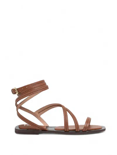Pollini Wrap-around Leather Sandals In Multi