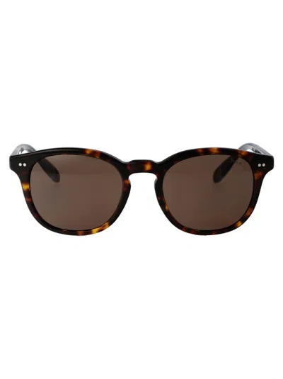 Polo Ralph Lauren 0ph4206 Sunglasses In Brown