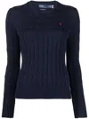 Polo Ralph Lauren Ralph Lauren Sweaters In Blue