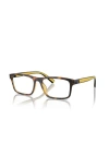 Polo Ralph Lauren 56mm Rectangle Optical Glasses In Multi