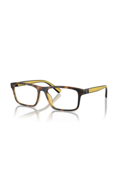 POLO RALPH LAUREN POLO RALPH LAUREN 56MM RECTANGLE OPTICAL GLASSES