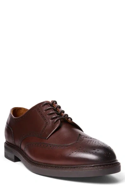 Polo Ralph Lauren Asher Wingtip Oxford In Polo Brown